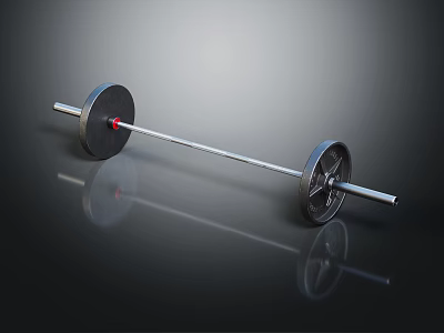 Heavy Duty Steel Barbell With Black Weight Plates For Strength Training 3d model
