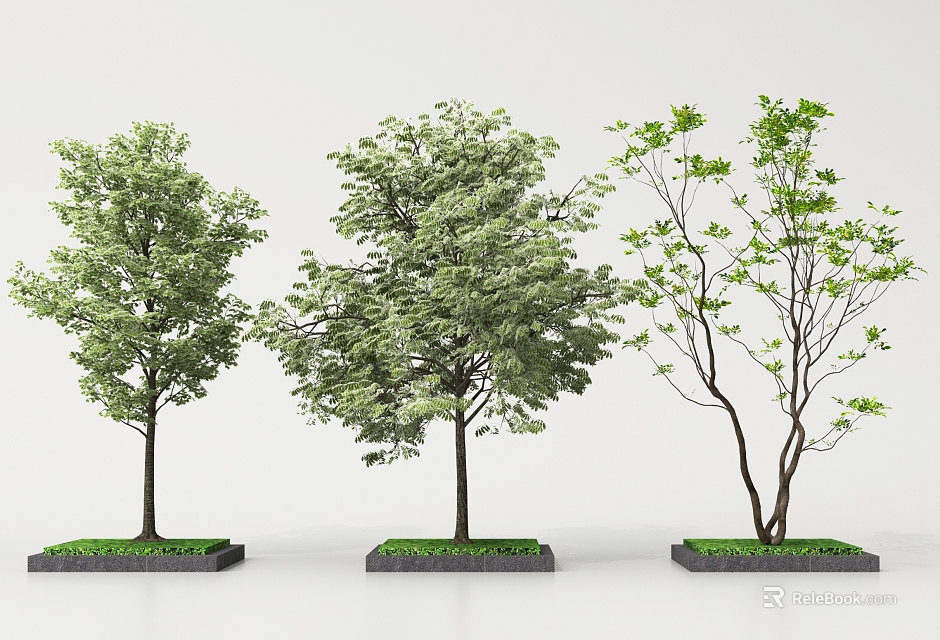Arbor Trees With Lush Green Foliage Varied Trunks And Grass Base Planters 3d model 