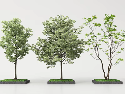 Arbor Trees With Lush Green Foliage Varied Trunks And Grass Base Planters 3d model
