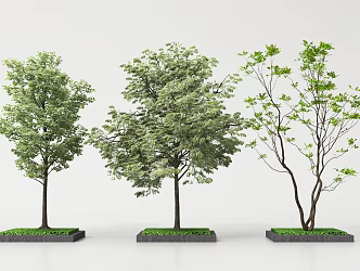 Landscape Trees Garden Trees Trees Trees 3d model