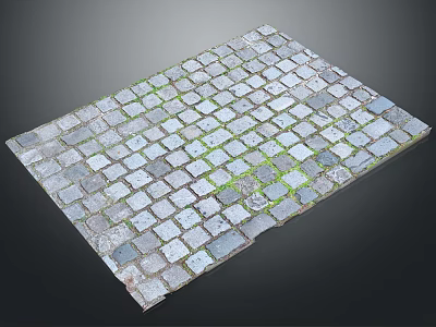 Natural Rustic Stone Wood Floor Tiles For Outdoor Garden Paving With Mossy Texture 3d model