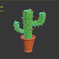 Green Cactus with Orange Spines Growing in Orange Pot on Dark Background