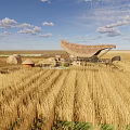 Rural Landscape with Golden Wheat Field Haystacks and Thatched Roof Building Under Blue Sky