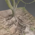 modern tree stump root 3d model