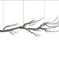 Wall Mounted Natural Branch Sculpture Art Piece With Detailed Textured Design