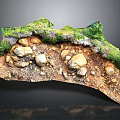 Natural Geological Landscape Cross Section Featuring Green Vegetation Rocks And Soil Layers