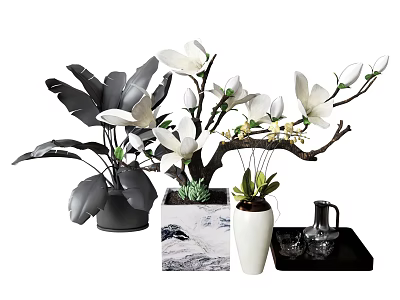 Indoor Bonsai Potted Plants With White Flowers And Decorative Black White Containers 3d model