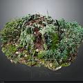 Wooden and Stone Tree Stump Adorned With Green Moss Small Plants and Natural Texture