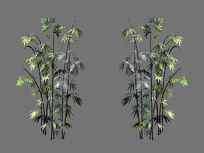 Bamboo Plants With Lush Green Leaves And Black Stems In Clump 3d model