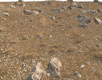 Realistic Grass Sand Stone Desert Soil 3d model