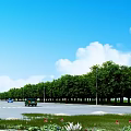 Urban Road Infrastructure With Multiple Lanes Street Lights And Green Trees