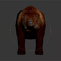 Reddish Brown Bear 3D Model With Detailed Texture And Realistic Rendering