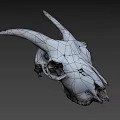 White Horned Animal Skull Display On Dark Background With Detailed Features