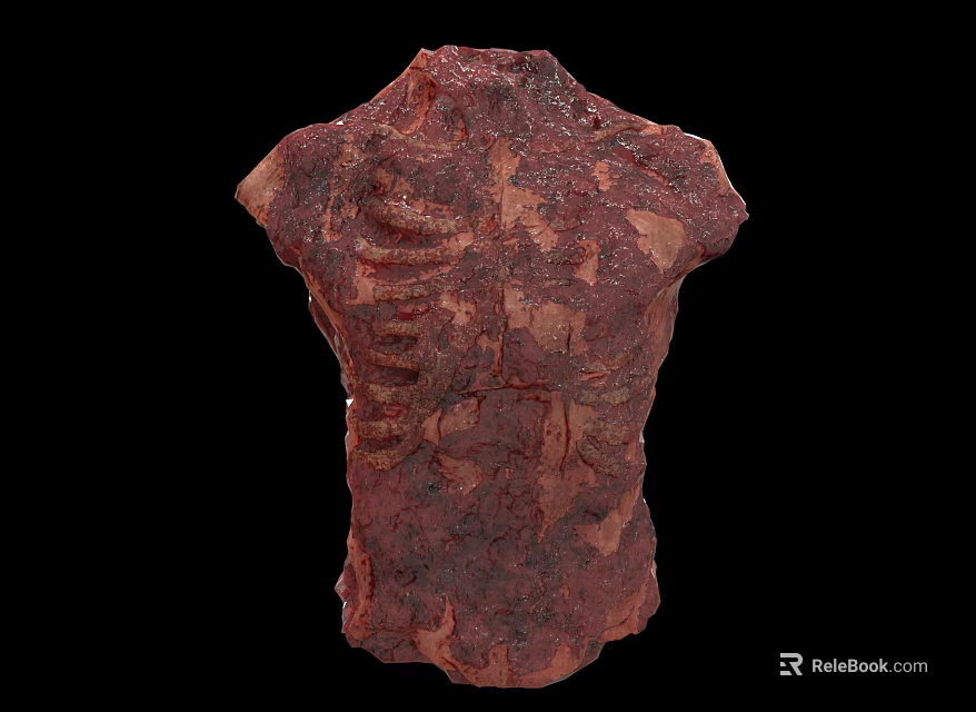 Red Biological Torso Structure With Visible Rib Texture And Rough Surface Details 3d model
