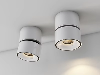 Modern Sleek White Ceiling Mounted Downlights With Black Ring And Warm Light 3d model