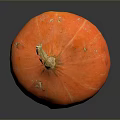 Fresh Ripe Orange Striped Pumpkin With Green Stem On Dark Background