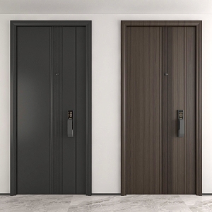 Modern security door entry door 3d model