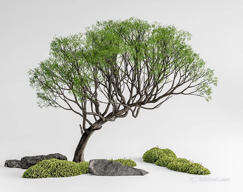 Lush Green Arbor with Curved Trunk Rocks and Low Shrubs in Natural Landscape 3d model 
