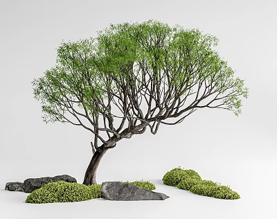 Lush Green Arbor with Curved Trunk Rocks and Low Shrubs in Natural Landscape 3d model