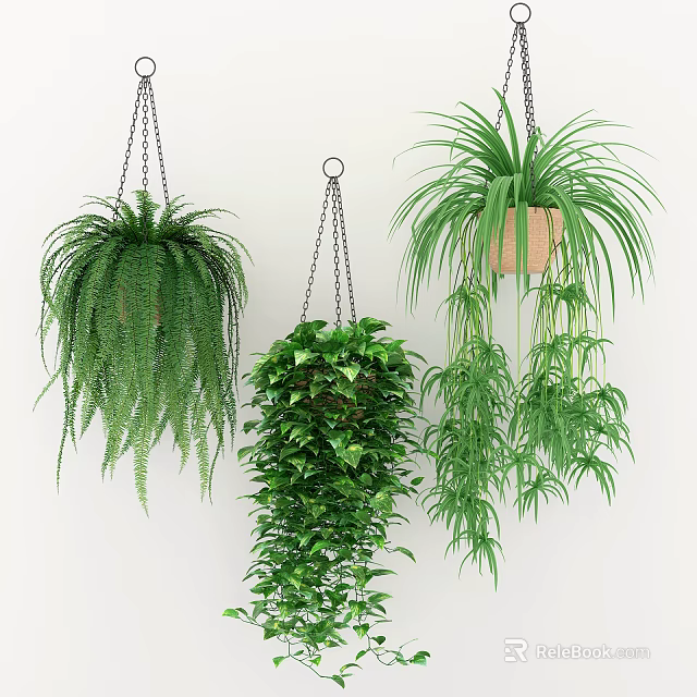 Lush Green Hanging Plants Suspended in Baskets Adding Fresh Vibe to Indoor Space 3d model 