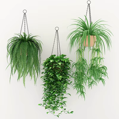 Lush Green Hanging Plants Suspended in Baskets Adding Fresh Vibe to Indoor Space 3d model