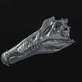 Realistic Silver Animal Skull With Detailed Structure On Black Background 3d model