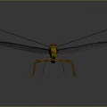Orange Dragonfly with Transparent Veined Wings and Reflection on Gray Background 3d model