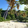 Scenic Coastal Landscape With Blue Sky Green Vegetation Palm Trees Rocks And Sandy Beach