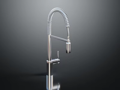 Modern Silver Kitchen Faucet With Curved Hose Lever Handle And Reflective Finish 3d model