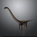3D Rendered Sauropod Dinosaur with Long Neck and Textured Skin Standing on Gray Background