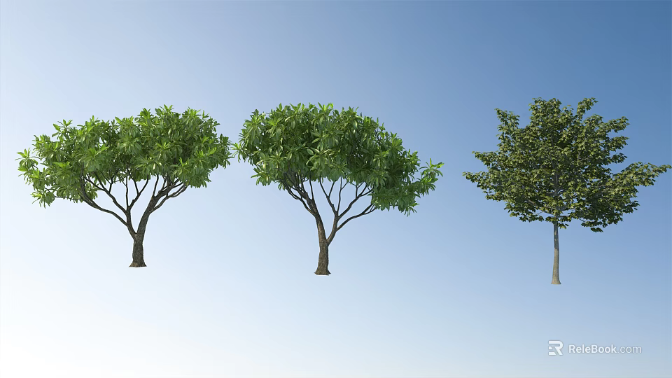 Three Arbor Trees With Different Crown Shapes Against Blue Sky Background 3d model 