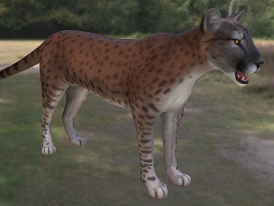 Sprint Champion North American Cheetah Animal model