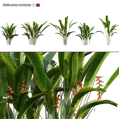 Tropical Garden Decor Arrangement With Large Green Foliage And Red Spiked Blooms 3d model