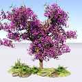 Vibrant Purple Flowering Shrub With Lush Green Leaves And Grass Around Trunk