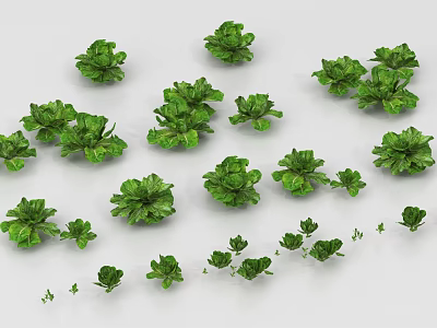Different Sizes and Types of Fresh Green Leafy Vegetables Scattered on White Background 3d model