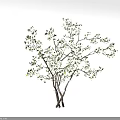 Clear Glass Vase With White Blossom Branches In Minimalist Interior Decor
