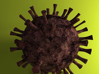 Advanced Medical Devices for Accurate Virus Detection and Prevention in Clinics 3d model