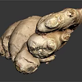 Fresh Whole Ginger Root With Natural Bumpy Texture And Brown Skin