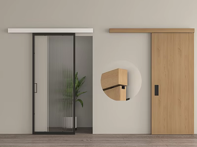 Modern Interior With Sliding Glass And Wooden Barn Doors And Potted Plant 3d model
