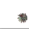 Healthy Succulent Plant With Vibrant Red And Green Fleshy Leaves In Rosette Shape