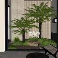 Indoor Garden Design With Ferns Palm Tree Orchids And Moss Ground Cover Against Lattice Wall