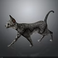 3D Rendered Spotted Cat Walking On Gray Background With Ears And Tail