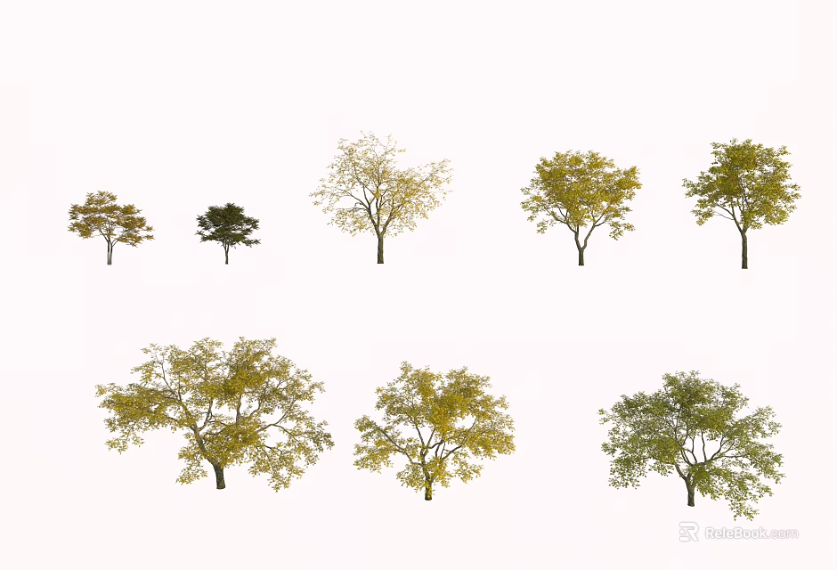 Various Arbor Trees With Different Leaf Colors And Shapes Isolated On White 3d model