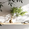 Shower Sauna Space With Green Plant And Figurine