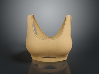 Underwear Bra Full Cup Bra Strapless Bra Silk Cotton Padded Bra Traceless Bra 3d model