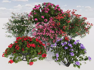 Colorful Flowering Shrubs With Pink Red White And Purple Blooms In Garden 3d model