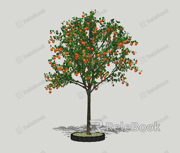 Modern Fruit Trees Courtyard Fruit Trees model