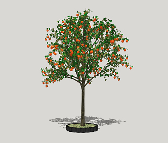 Modern Fruit Trees Courtyard Fruit Trees 3d model