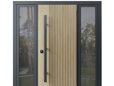 Modern Wooden Door With Vertical Stripes Black Frame And Glass Side Panels Viewing Trees Outside 3d model