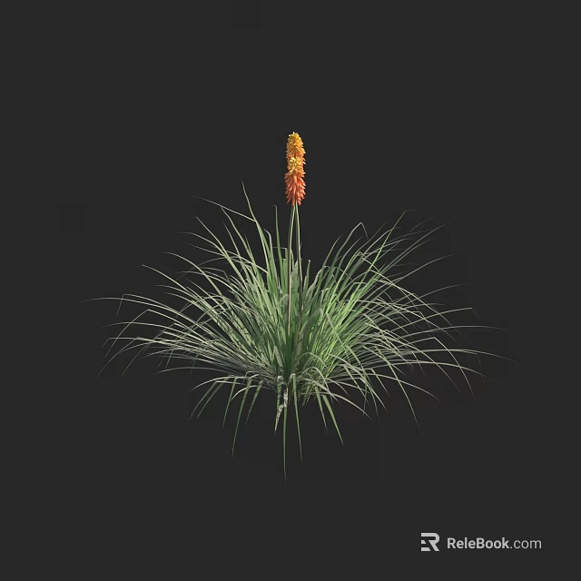 Ornamental Plant Featuring Long Green Leaves And Vibrant Orange Flower Spikes 3d model 